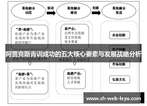 阿贾克斯青训成功的五大核心要素与发展战略分析