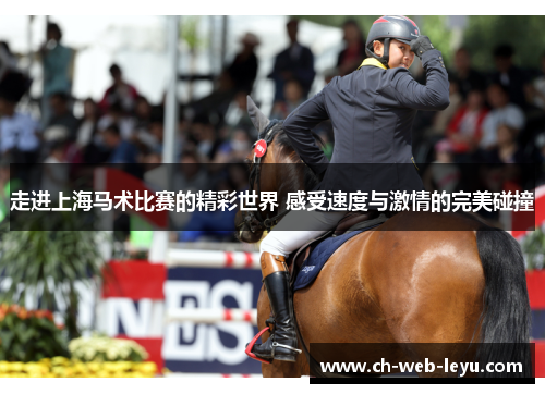 走进上海马术比赛的精彩世界 感受速度与激情的完美碰撞